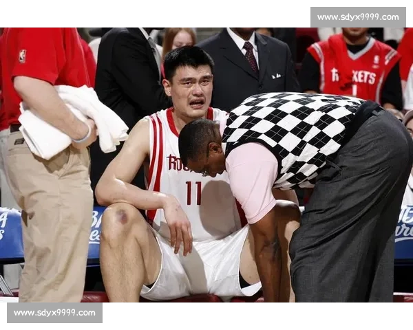 重温姚明巅峰时刻见证巨人统治禁区的震撼NBA比赛合集